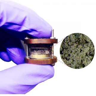 lithium ion batteries recovery