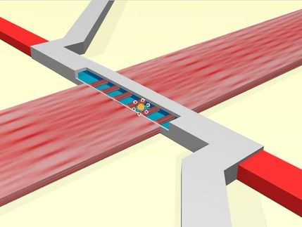 diagnostic chip influenza