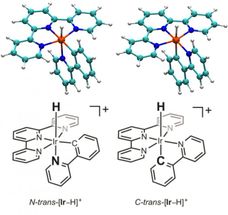 iridium complexes catalysts