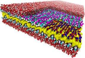 nanaosheets biomimetic