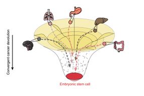 cancer computational biology