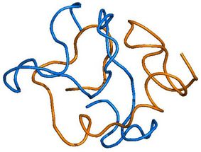 amyloid beta