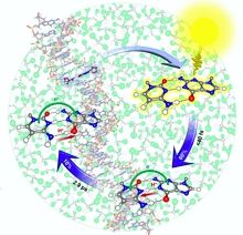 Angewandte Chemie, John Wiley & Sons