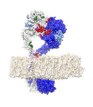 computational biology gene identification