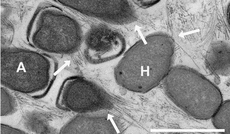 © MPI f. Biophysical Chemistry