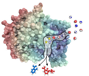 Anthranilatsynthase