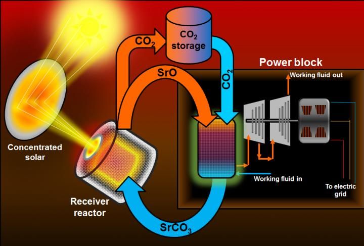 Graphic by Kelvin Randhir, courtesy of the University of Florida