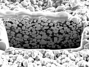 Keramische Partikel liefern digitale Röntgenplatten „aus der Sprühdose“