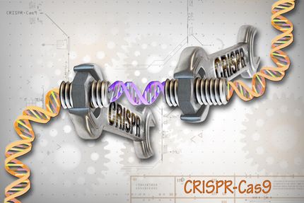 gene editing crispr