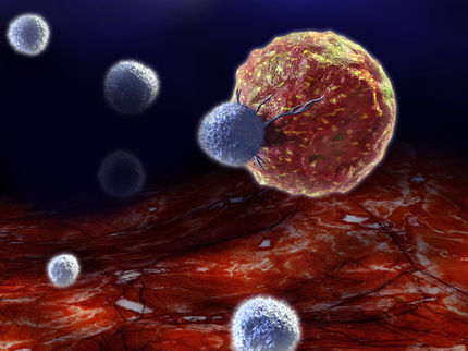 Merck und Pfizer erhalten „Breakthrough Therapy“-Status für Avelumab