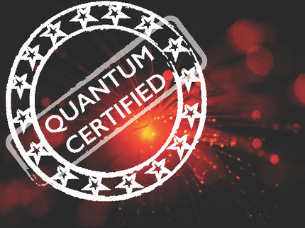 Quality control of quantum simulators