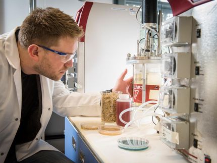 yeast palm oil biotechnology