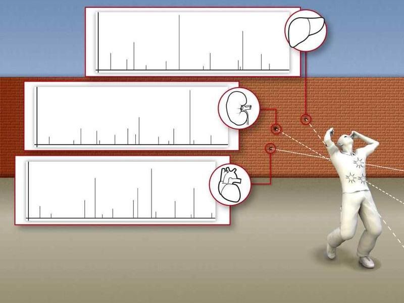 Journal of Proteome Research