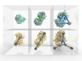 protein database