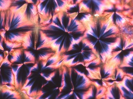 pathogen detection microscopy polarisation