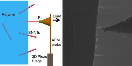 boron nitride nanotubes