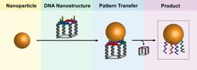 dna templates gold nanoparticles