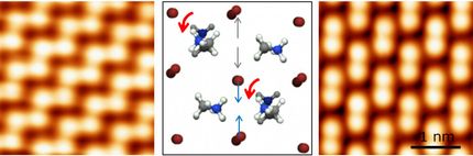 organic-inorganic perowskites