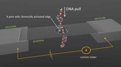 gene sequencing graphene