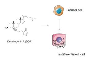 metabolites cancer drugs