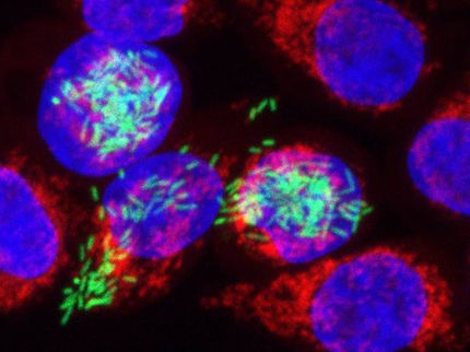 Studie läutet neues Kapitel der Infektionsforschung ein