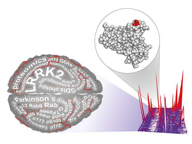 Steger, Krause © Max Planck Institute of Biochemistry