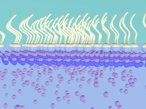 Nanosheet growth technique could revolutionize nanomaterial production