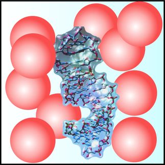 Biomolecule’s behaviour under artificial conditions more natural than expected