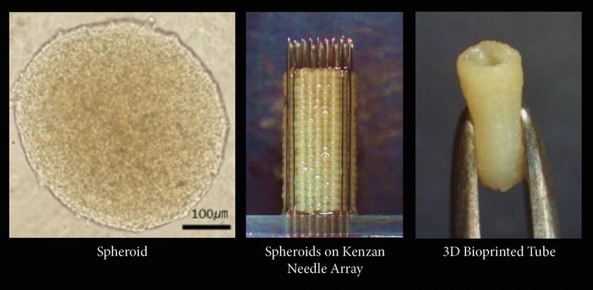 Cyfuse Biomedical