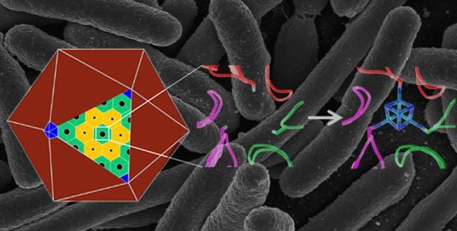 Berkeley Lab, National Institutes of Health