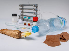 Nylonstrümpfe und Plastikflaschen aus Chicorée-Salat-Abfällen