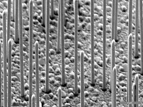 Gallium-arsenide nanowires on a silicon surface