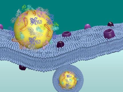 Stealth effect of nanocarriers for drug delivery vehicles conferred more efficiently