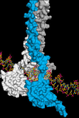 Tobias Neudegger, MPI of Biochemistry