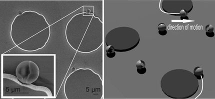 Micromotors use surface variations for docking and guiding