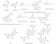 Tyrosinase inhibitors from terrestrial and marine resources