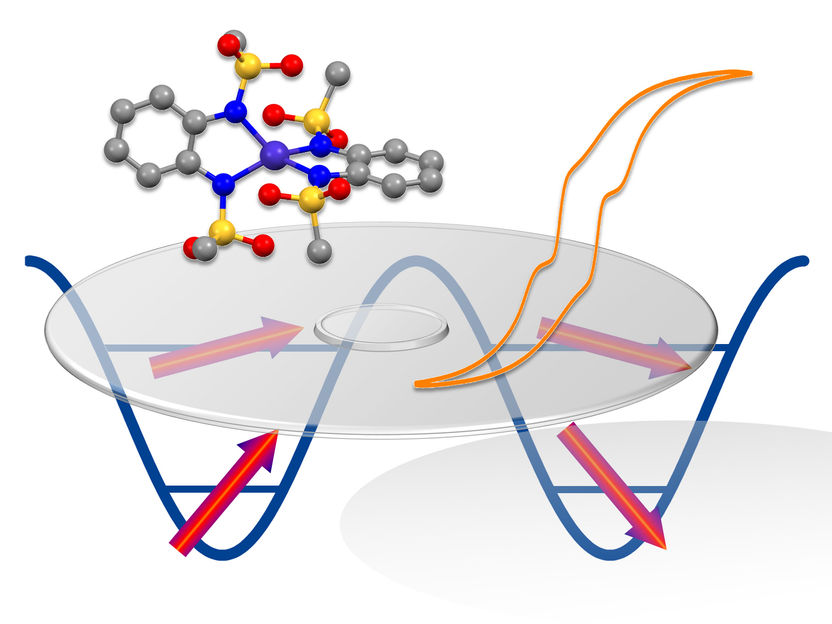 © Professor Joris von Slageren, Universität Stuttgart