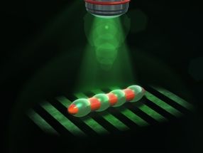 Microrobots learn from ciliates