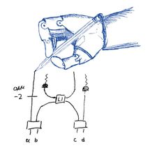 Quantum experiments designed by machines