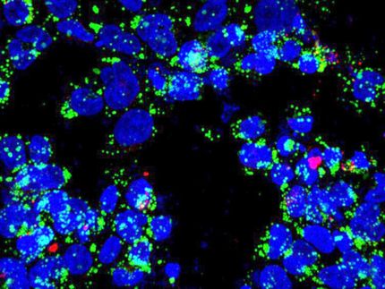 New theorem helps reveal tuberculosis' secret