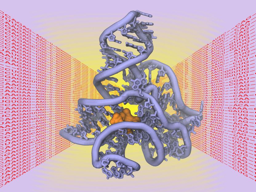 3D-Struktur von Biomolekülen vorhersagen - KIT-Forscher erhalten „Google Faculty Research Award“ für Forschung zur Raumstruktur von Biomolekülen