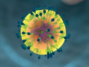 HIV trotz Therapie höchst aktiv: Bisher unentdecktes Virenversteck im Körper?