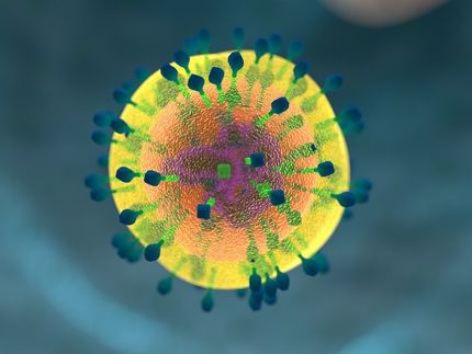 HIV trotz Therapie höchst aktiv: Bisher unentdecktes Virenversteck im Körper?