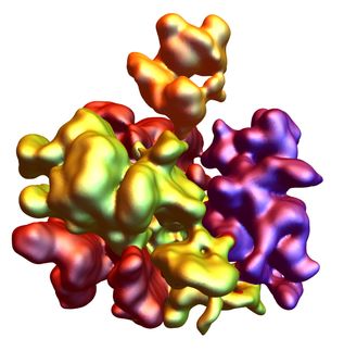 Experimentation and largest-ever quantum simulation of a disordered system explain quantum many-particle problem