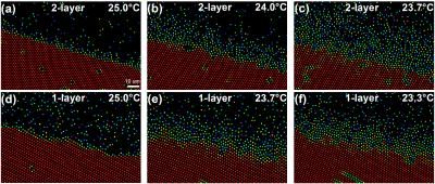 Challenging observations of 2-D melting and surface premelting at the single-particle level