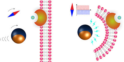 Microagents with revolutionary potential