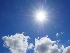 Biotech breakthrough: Sunlight can be used to produce chemicals and energy