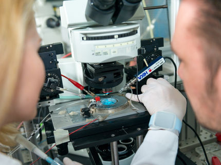 Neues optogenetisches Werkzeug