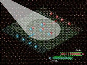 ‘Odd couple’ monolayer semiconductors align to advance optoelectronics