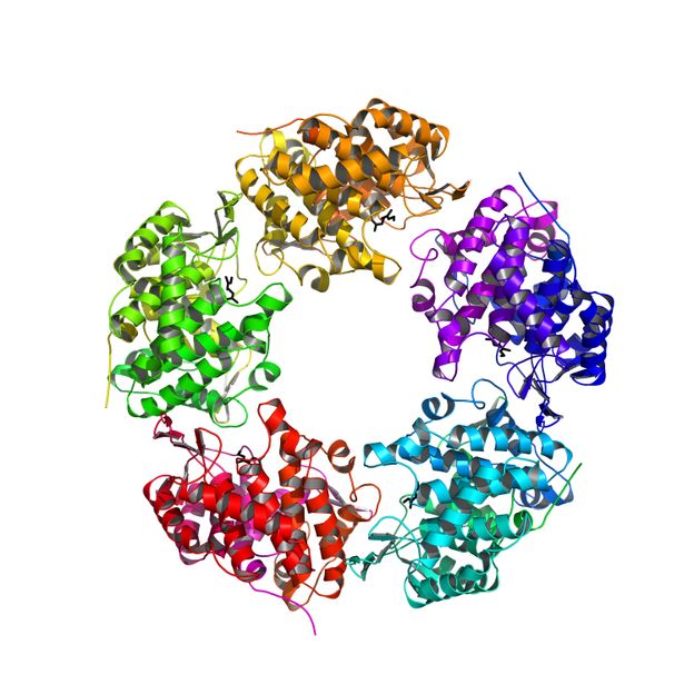 From the scent of roses to nylon and plastics - Enzyme for plastics production from renewable raw materials